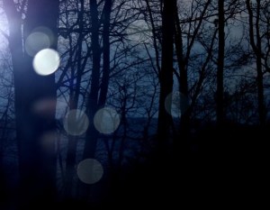 5cb92a62eb939d7eab0af4f2bbc05cb9