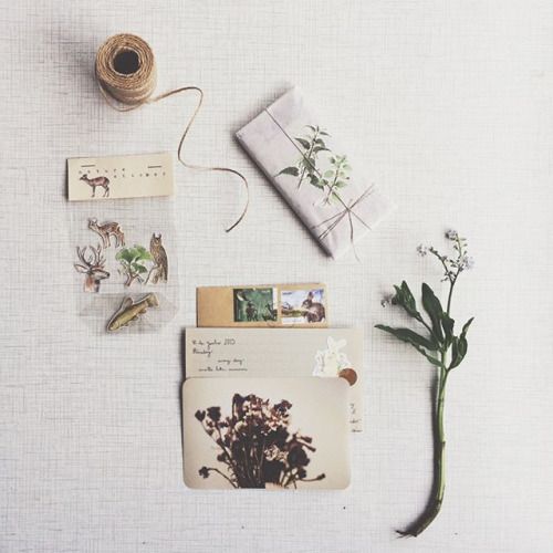 f094464b2691d7f7dbe7ae0a4d322f15